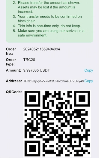 Step 4: Open a USDT wallet and make payment via QR code or USDT address